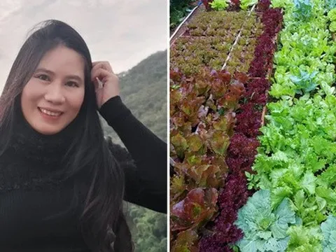 Kế toán trưởng có vườn rau xịn: Tay thon mềm thành chai sạn, hơi ngại khi gặp đối tác
