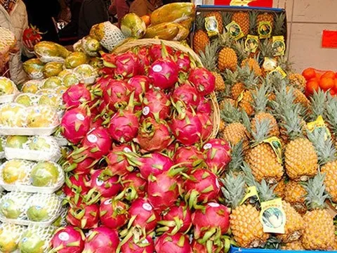 Những mặt hàng nông sản dự kiến xuất khẩu chủ lực trong nửa cuối 2023