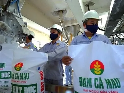 Lãnh đạo Đạm Cà Mau nhận thù lao hơn 200 triệu đồng mỗi tháng