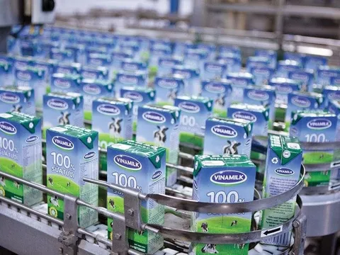 Cổ đông Vinamilk sắp nhận hơn 5.000 tỷ đồng tiền cổ tức
