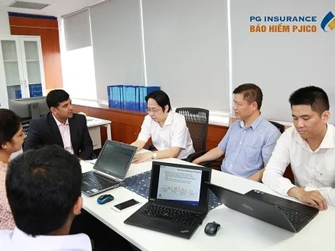 Gần nửa tài sản của Bảo hiểm Petrolimex đang nằm ở ngân hàng