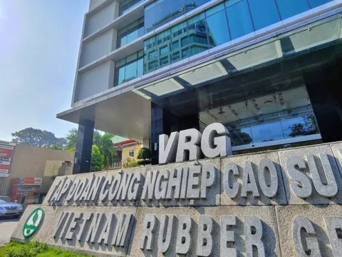 Tập đoàn Cao su Việt Nam báo lãi giảm sâu, có hơn 1.000 tỷ đồng nợ xấu