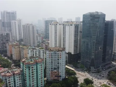 Chồng chéo quy định khiến doanh nghiệp lãnh đủ