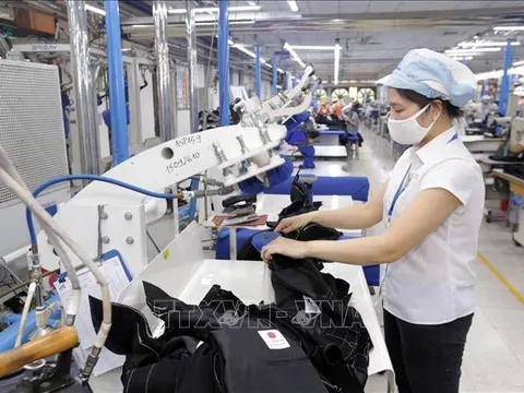 Thủ tướng Chính phủ chỉ đạo nghiên cứu thông tin 'châu Âu thêm rào cản với ngành dệt may'