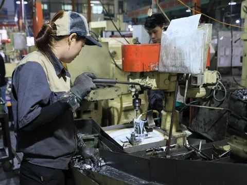 Áp Thuế tối thiểu toàn cầu: Giảm chuyển giá, trốn thuế