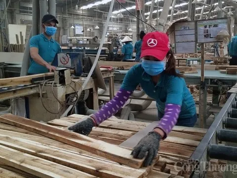 Mặt hàng xuất khẩu nào sau 15 năm tăng trưởng dương lại đối diện tăng trưởng âm?