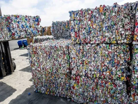 Khủng hoảng gian lận tái chế: Đến nhặt rác cũng có thể làm giàu phi pháp, trục lợi hàng triệu đô vì lỗ hổng hệ thống