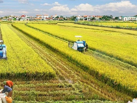 Sản xuất nông nghiệp ghi nhận tốc độ tăng trưởng cao