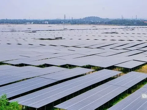 Điểm sáng duy nhất trong bức tranh kinh doanh ảm đạm của Sao Mai