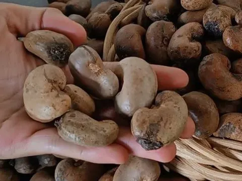 5 lô hàng nông sản nghi bị lừa đảo: Thương vụ Việt Nam tại UAE vào cuộc