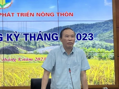 Lúa gạo đang "nóng": Cần có sự chia sẻ với cộng đồng doanh nghiệp