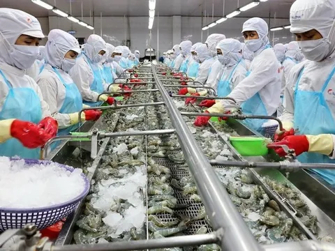 Thắt chặt chi phí, lợi nhuận của Minh Phú vẫn "bốc hơi" hơn 90%