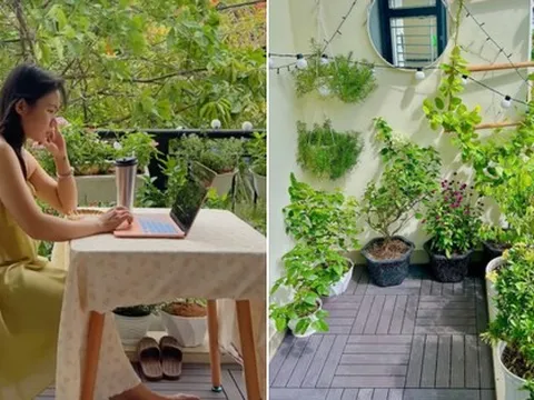 Cải tạo ban công rộng 7m2 thành nơi trồng 30 loại hoa và rau củ, vừa chill vừa kiếm ra tiền