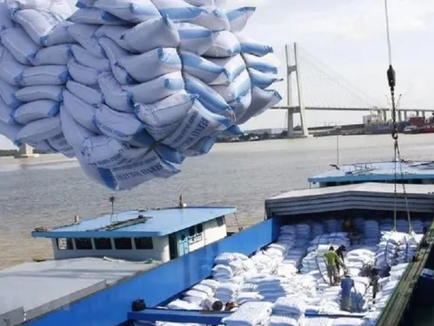 Giá gạo: Biến động trên thị trường thế giới và thời cơ của gạo Việt