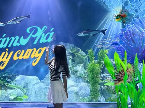 Thuỷ cung mới toanh tại Hà Nội: cả "đại dương" rộng 9.000m2 nhưng lại không như mong đợi
