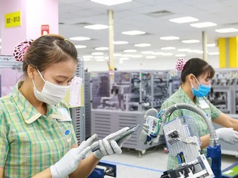 Xuất nhập khẩu bắt đầu khởi sắc