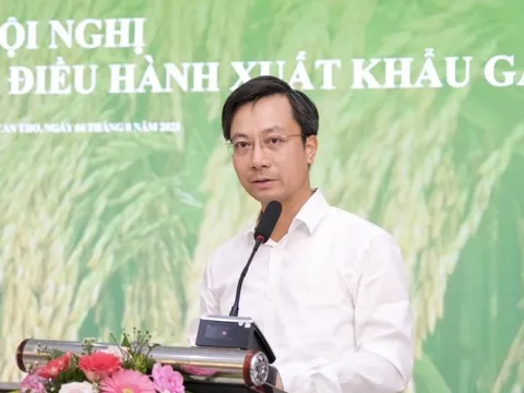 Nguồn gạo của Việt Nam ra sao trước nhu cầu xuất khẩu tăng đột biến?