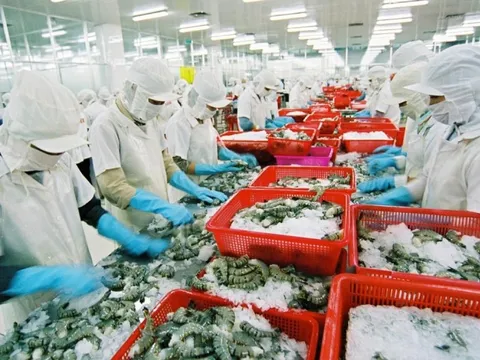 Vì sao xuất siêu 7 tháng đạt hơn 11 tỷ USD?