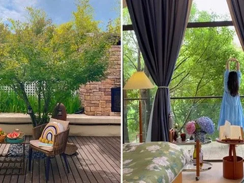 Biệt thự rộng 400m2, sân và bên hông nhà trồng đủ loại cây khiến chủ nhân nghĩ đang sống trong rừng