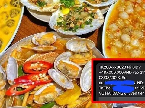 Khách ăn ốc vỉa hè hết 487k chuyển khoản gần 500 triệu, chủ quán hốt hoảng đi tìm