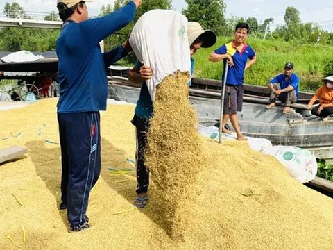Linh hoạt điều hành xuất khẩu gạo