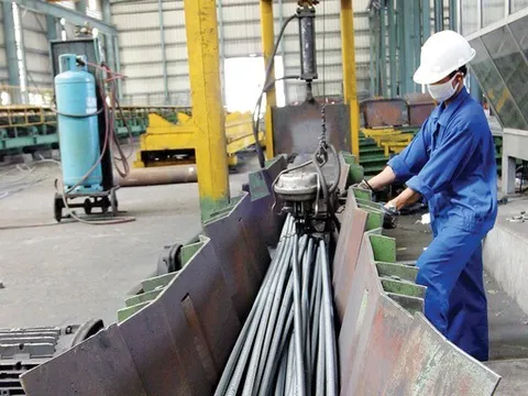 Sức chịu đựng của một bộ phận doanh nghiệp đã đến mức tới hạn