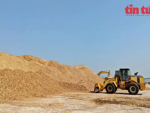 Rà lại quy định, giảm lượng doanh nghiệp phải kiểm trước, hoàn thuế sau