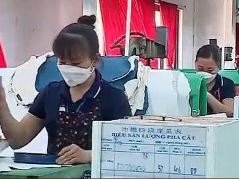 Lương tối thiểu vùng năm 2024 có tăng hay không?
