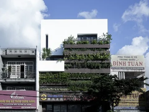 Ấn tượng ngôi nhà mặt phố thiết kế tối giản với sàn bê tông hai lớp và khu vườn nhỏ