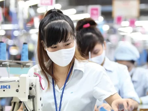 9 ngành nghề thu hẹp quy mô, cắt giảm lao động nhiều nhất tại Việt Nam