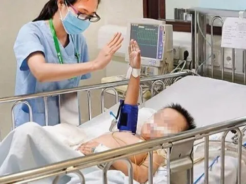 Cách sơ cứu khi trẻ bị rắn cắn, cha mẹ không nên bỏ qua