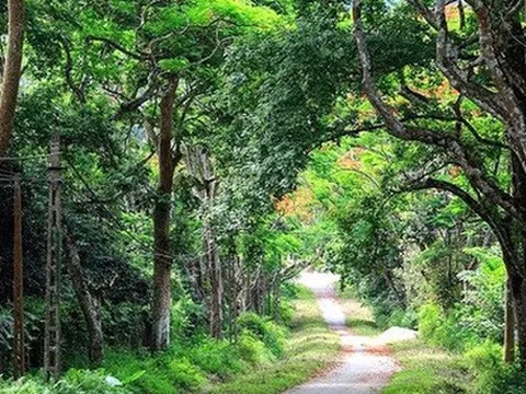 Một Vườn quốc gia Việt Nam vừa đạt giải "hàng đầu châu Á", là năm thứ 5 liên tiếp được vinh danh