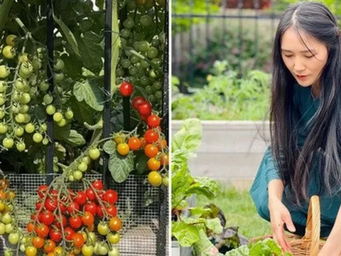 Khu vườn trĩu quả, rau củ xanh mướt mắt của cô gái sống ở Canada có 18 nghìn người hâm mộ