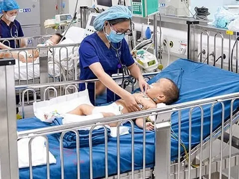 Cẩn trọng trong mùa rắn sinh sôi