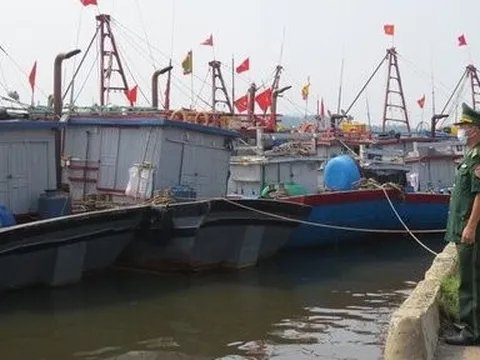 Nghệ An: Kiểm tra các công trình thuỷ lợi trọng điểm trước mùa mưa lũ