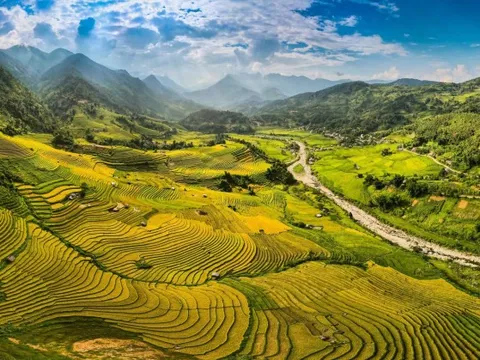Phát hiện địa điểm ngắm mùa lúa chín đẹp ở Tây Bắc ít ai biết, du khách nhận xét không thua kém gì nước ngoài