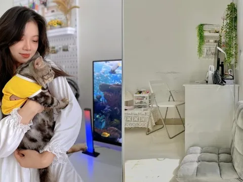 "Nhiều người đi làm cả đời cũng chỉ mong có 1 căn nhà đẹp, còn mình ở thuê cũng phải đầu tư"