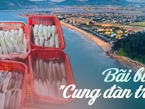 Ở miền Trung có một bãi biển tên gọi mỹ miều, sở hữu bờ cát trắng hình dáng độc nhất vô nhị
