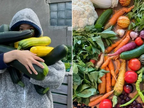 Mẹ chồng phụ nàng dâu trồng rau nuôi gà nơi trời Âu: Nhìn thành quả thu hoạch mà thèm