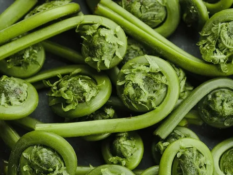 Loại cây mọc bờ bụi, tưởng bỏ đi nhưng lại là món ngon chứa đầy dưỡng chất quý