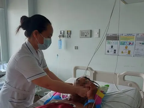 Một người tử vong, hai người nhập viện nghi do ăn cá nóc