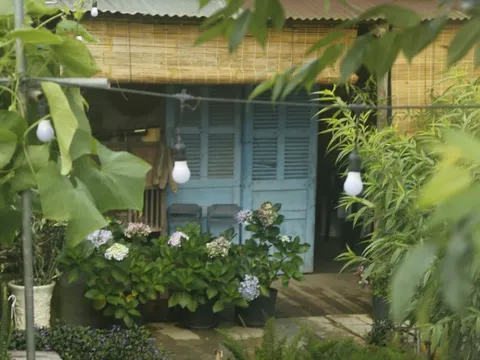 Bỏ phố về Đà Lạt mở quán cà phê: Thị trường bão hòa, có tháng không kiếm được đồng lời nào