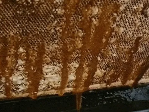 Kiểm tra vật dụng ngày nào cũng dùng trong bếp sau gần 10 năm, gia chủ choáng váng với tình trạng hiện tại