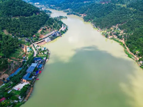 Yêu cầu xử lý nghiêm vi phạm “băm nát” đất rừng