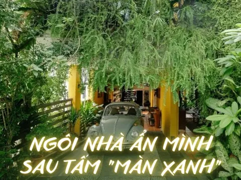 Hai cha con xây nhà "rừng" 360m2 giữa phố: KHông gian kết nối thông thoáng, quanh năm không cần bật điều hòa