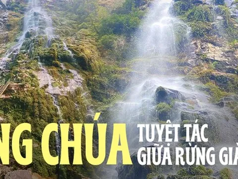 Con thác đẹp hơn tranh vẽ ẩn sâu trong rừng, đường dẫn vào trắc trở không phải ai cũng dám đi