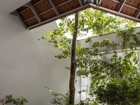 Mê mẩn căn nhà có cây xanh và lợp mái hiên bằng đất nung