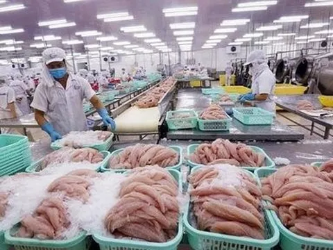 Lấy lại đà cho xuất khẩu thủy sản và những “tia sáng” dịp cuối năm