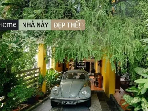 Căn nhà 360m2 hiếm khi phải dùng điều hoà, có đến 3 khu vườn xanh mướt cây như rừng nhiệt đới