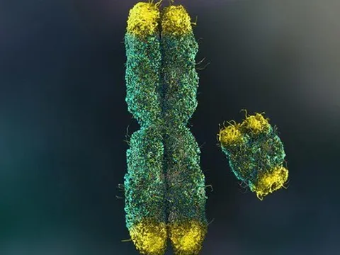 Đột phá từ 100 nhà khoa học: Giải mã bí ẩn lớn nhất của quý ông